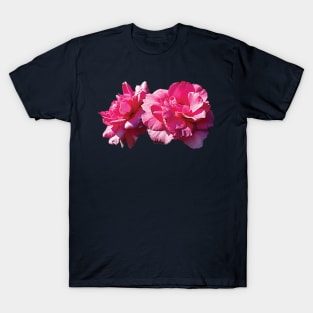 Roses - Two Pink Roses T-Shirt